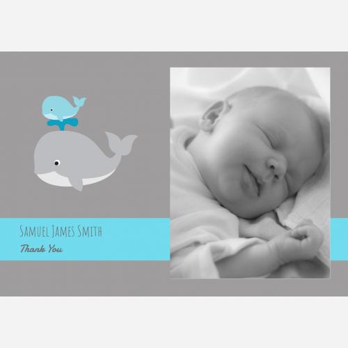baby-blue-whale-th.jpg