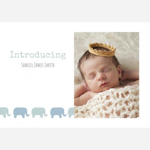 baby-blue-wonder-th.jpg