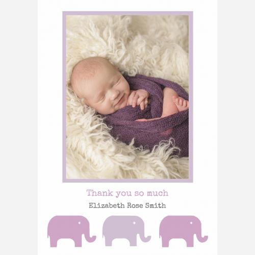 baby-mauve-elephants-p-th.jpg