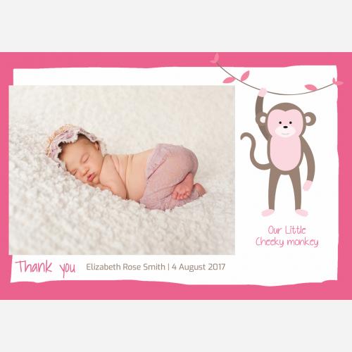 baby-pink-monkey-th.jpg