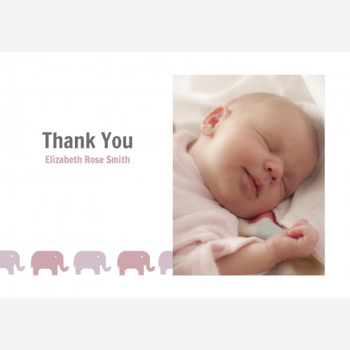 baby-pink-wonder-th.jpg