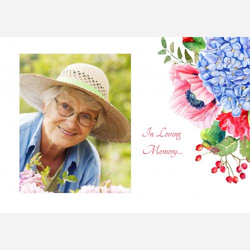 hydrangea-th.jpg