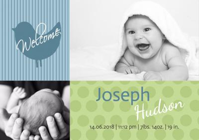 baby-boy-welcome-bird-th.jpg