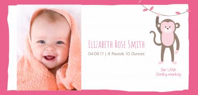 baby-cheeky-monkey-dle-th.jpg