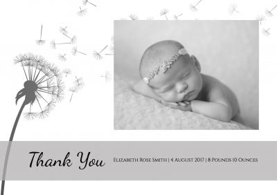 baby-dandelion-th.jpg