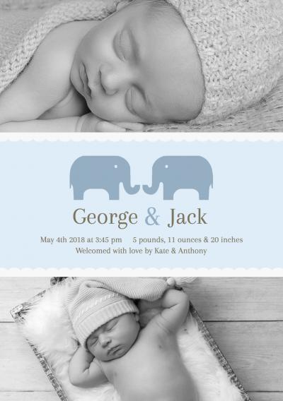 baby-twin-elephant-blue-th.jpg