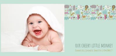 birth-animal-fun-dle-th.jpg