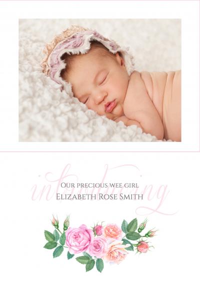 birth-rose-p-th.jpg