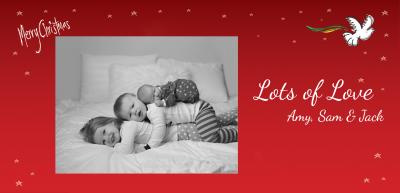 christmas-dove-dle-th.jpg