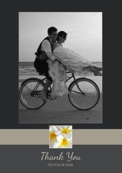wedding-frangipani-p-th.jpg
